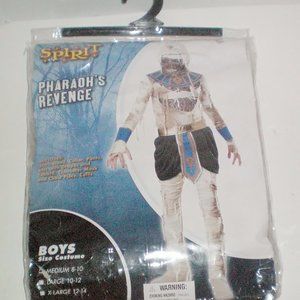 California Costumes Collection Child Pharaoh's Revenge Costume Size Medium